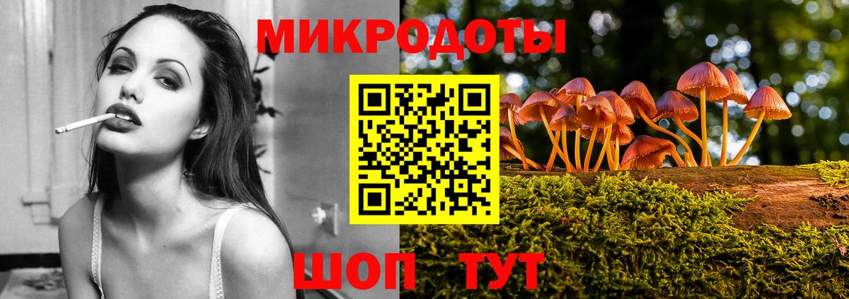 Псилоцибиновые грибы GOLDEN TEACHER  Вход с VPN  Заволжье  Галлюциногенные грибы Cubensis 