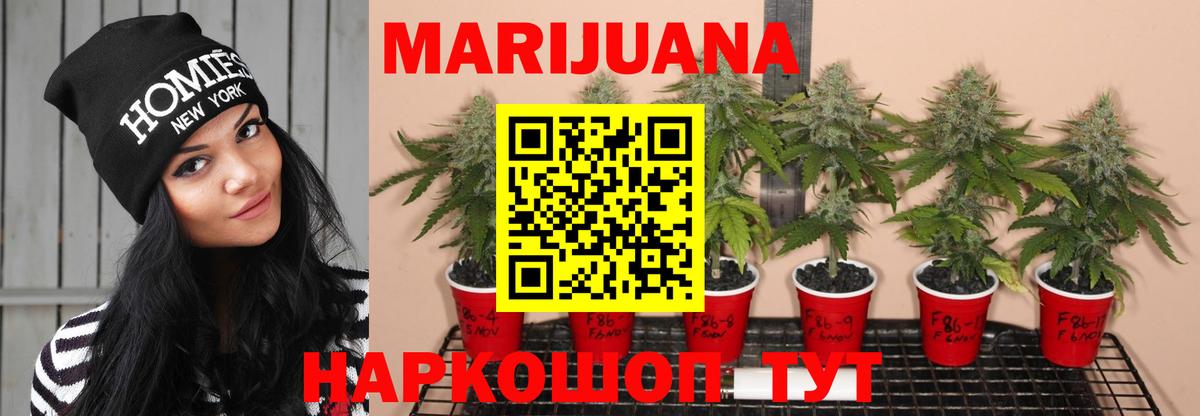 Заволжье  Марихуана Ganja  Конопля THC 21%  МАРИХУАНА ГИДРОПОН  Вход с VPN 